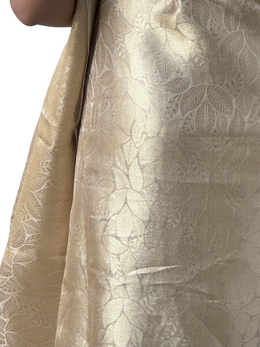 Swarnaabha | Tissue Brocade Saree
