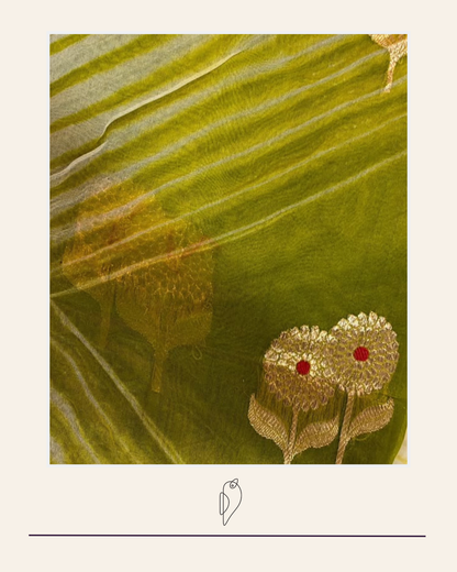 Aarshi | Japanese Dye Olive Organza Banarasi Saree