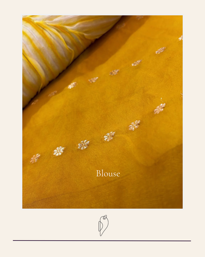 Aarshi | Japanese Dye Ochre Yellow Organza Banarasi Saree