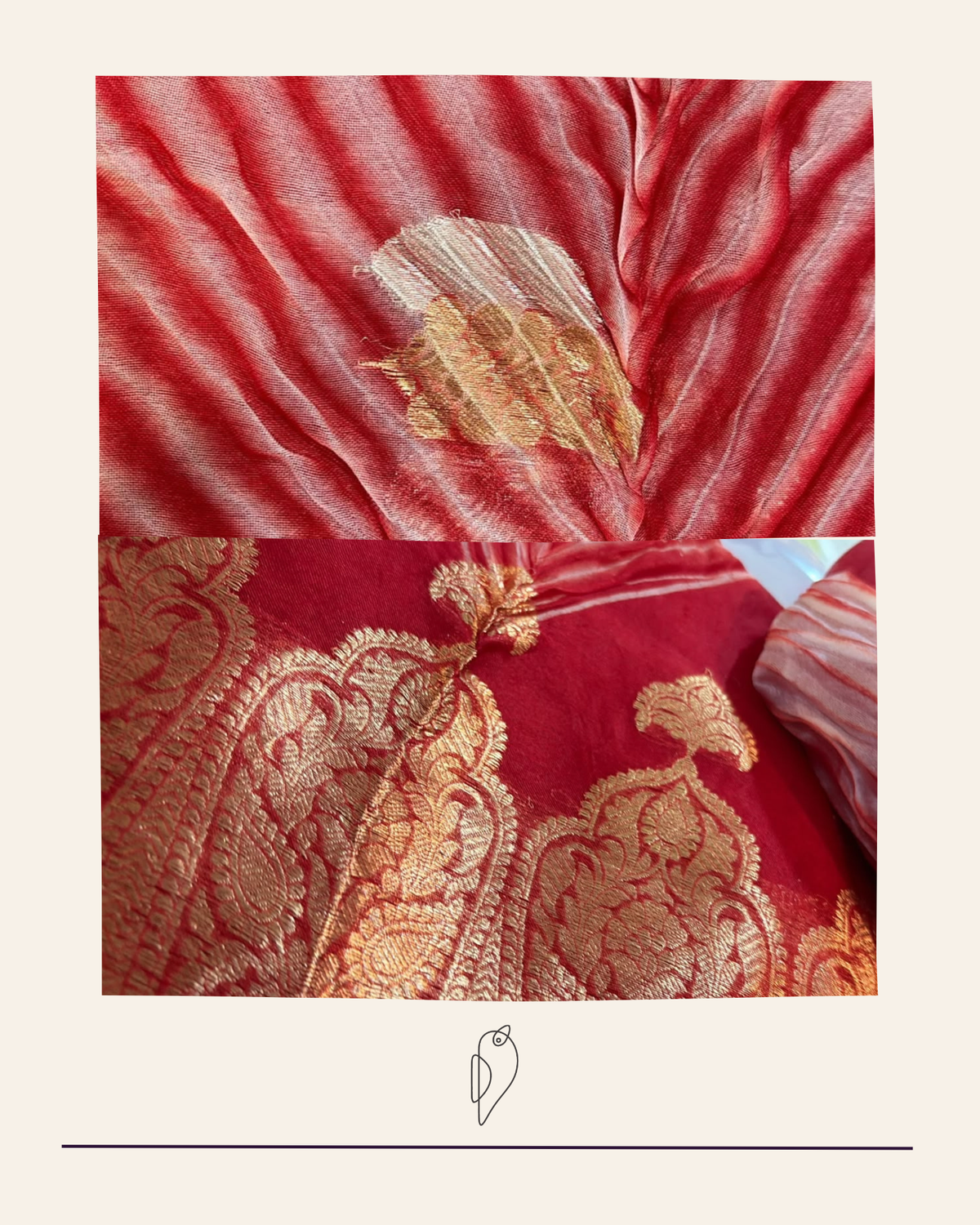Aarshi | Japanese Dye Red Organza Banarasi Saree