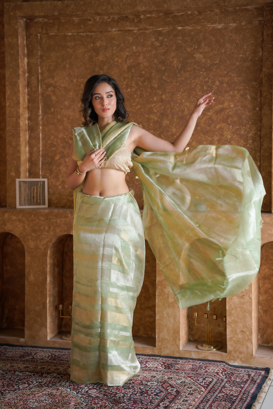 Verdant Glow | Organza Tissue Saree