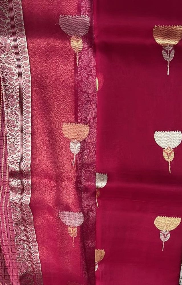 Rang Gulab | Organza Saree