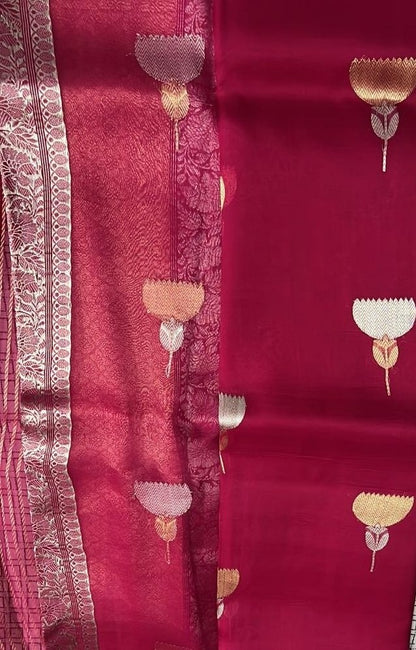 Rang Gulab | Organza Saree
