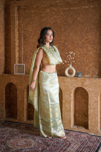 Verdant Glow | Organza Tissue Saree