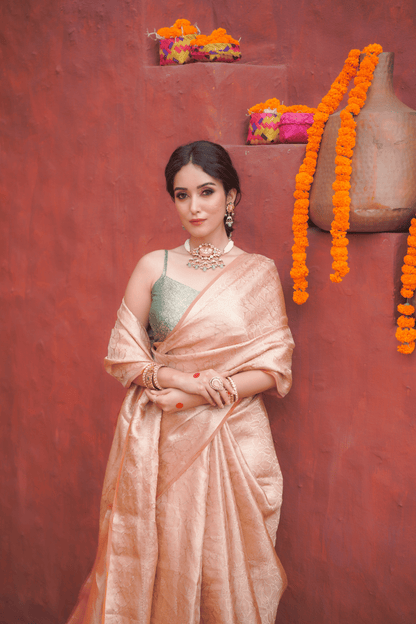 Taraab | Tissue Brocade Saree