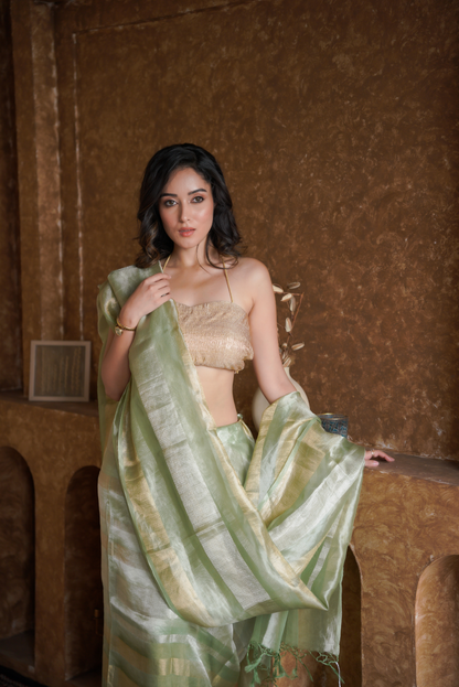 Verdant Glow | Organza Tissue Saree