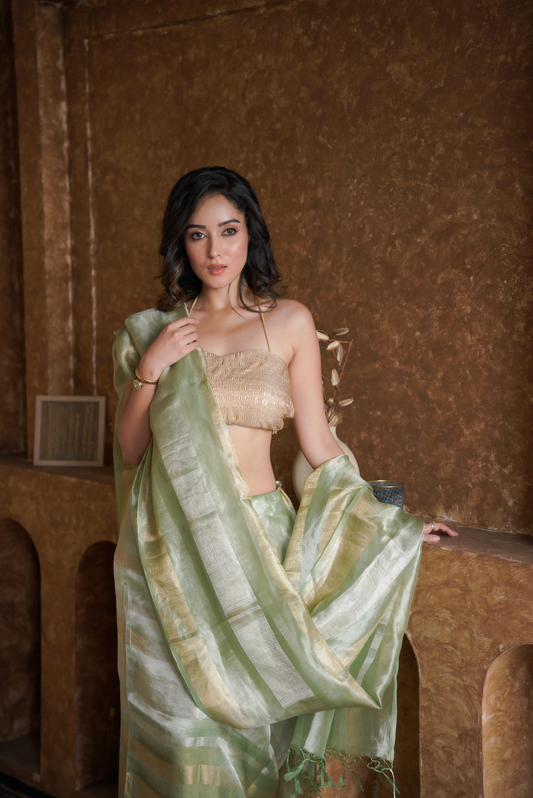 Verdant Glow | Organza Tissue Saree