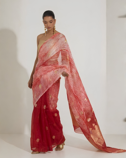 Aarshi | Japanese Dye Red Organza Banarasi Saree