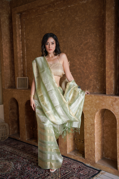 Verdant Glow | Organza Tissue Saree