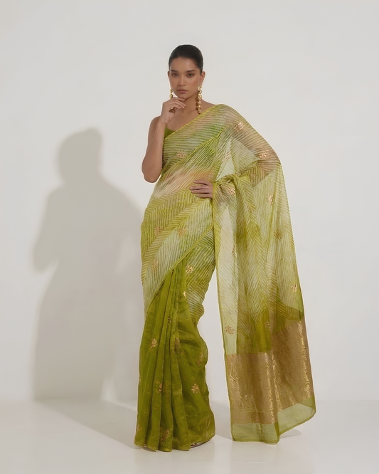 Aarshi | Japanese Dye Olive Organza Banarasi Saree