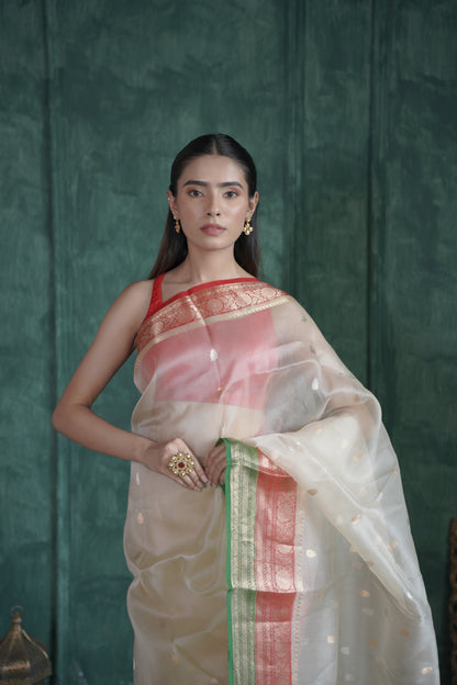 Ganga Jamuna | Organza Saree