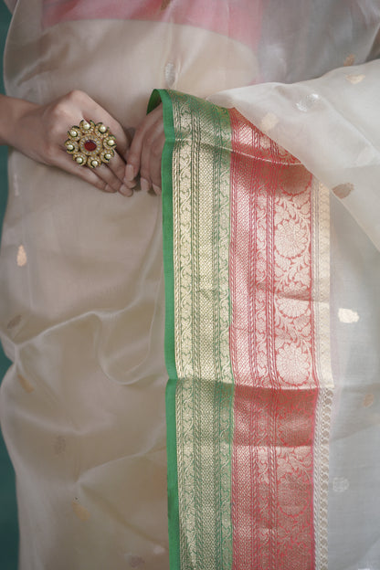 Ganga Jamuna | Organza Saree