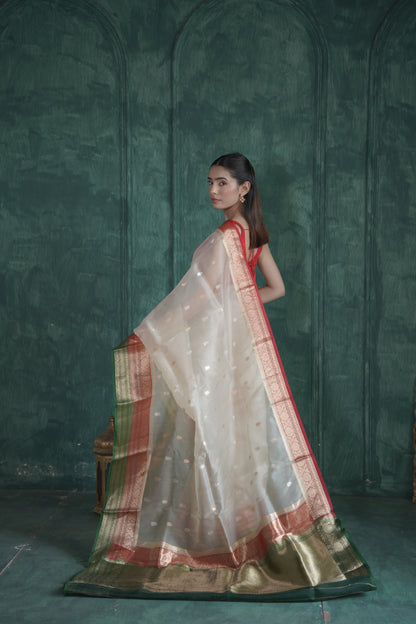 Ganga Jamuna | Organza Saree