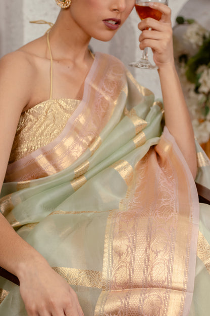 Delicate Craft | Organza Saree