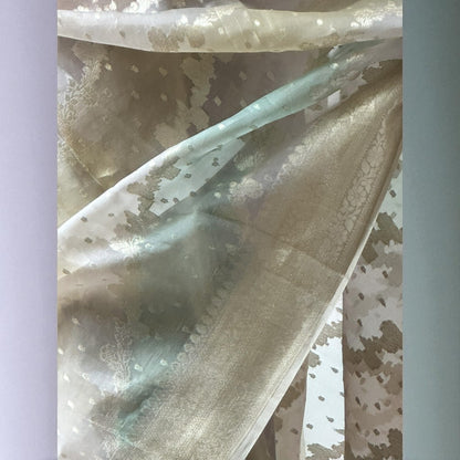 Mehek | Organza Saree