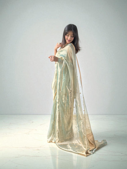Ethereal Glow | Tissue Saree