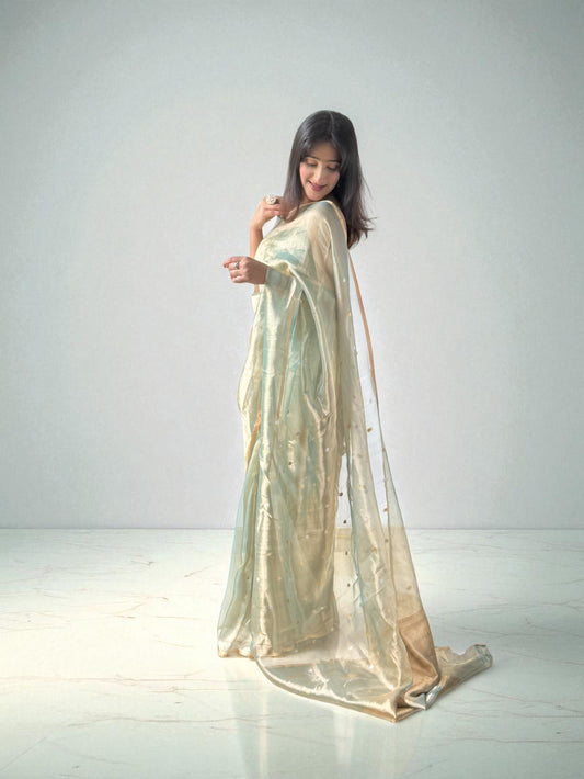 Ethereal Glow | Tissue Saree