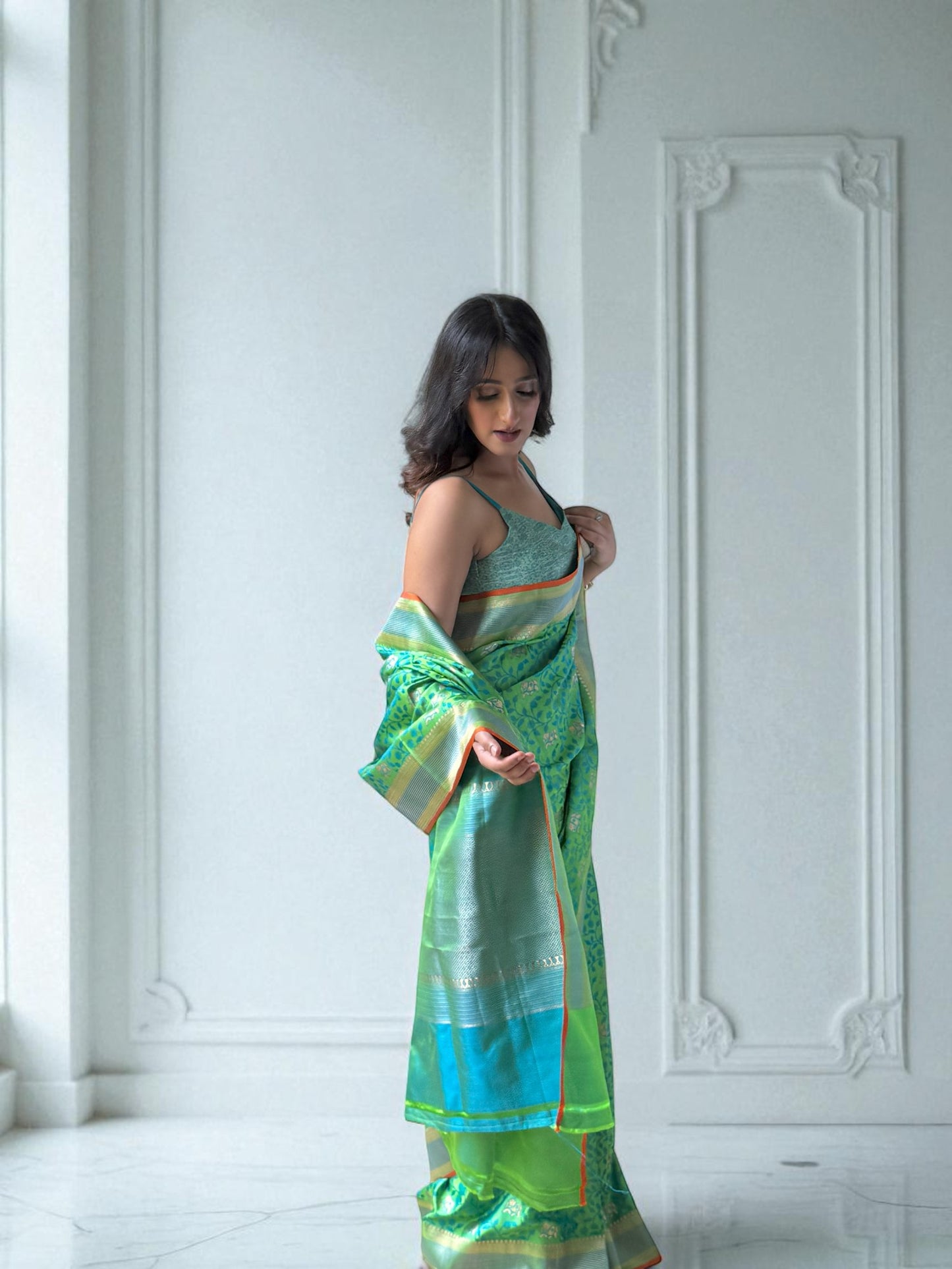 Majestic Radiance | Tanchoi Saree
