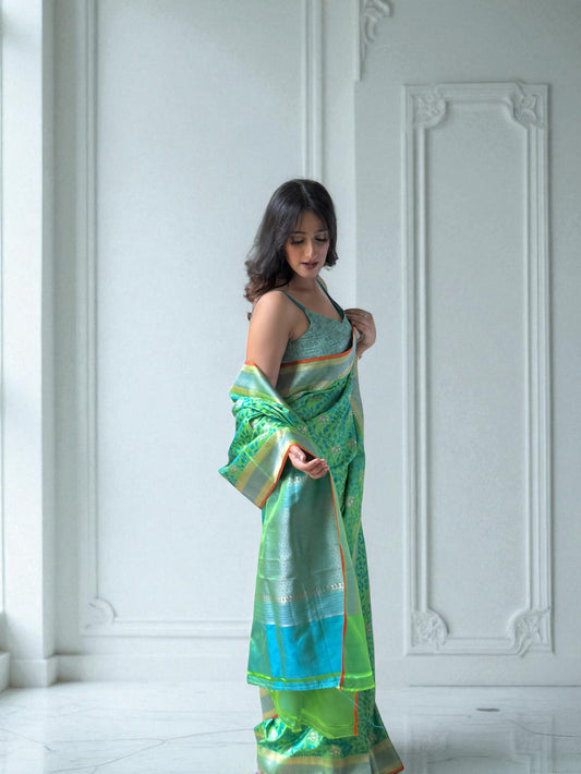 Majestic Radiance | Tanchoi Saree
