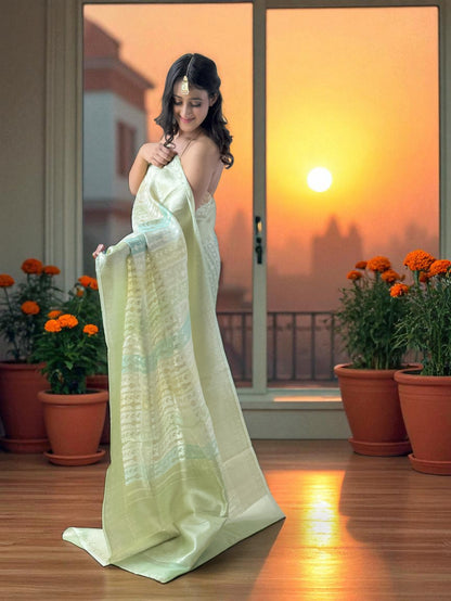 Gulzar Mélange | Organza Saree