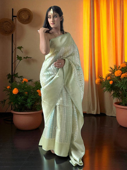 Gulzar Mélange | Organza Saree