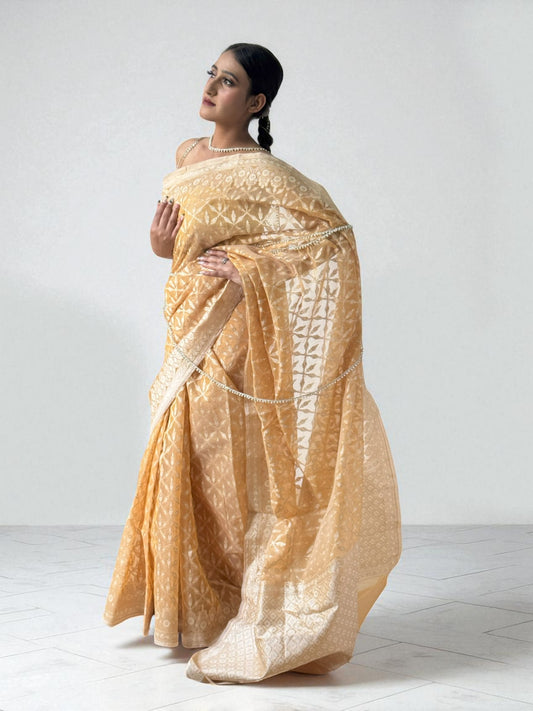 Mango Blossom | Organza Saree