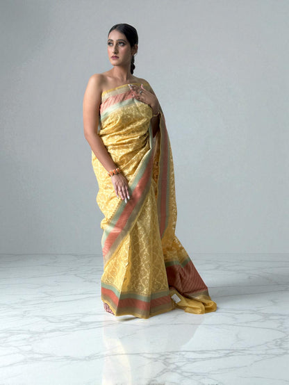 Citrus Elegance | Cotton Organza Saree