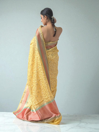 Citrus Elegance | Cotton Organza Saree