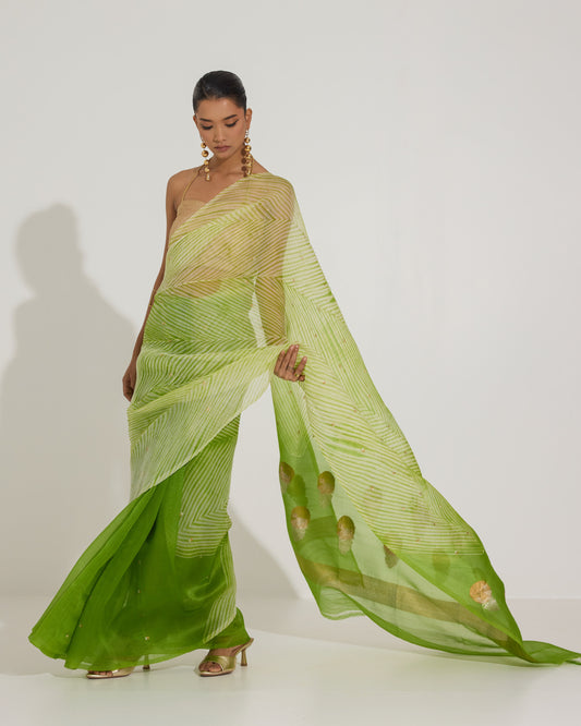Aarshi | Japanese Dye Green Organza Banarasi Saree