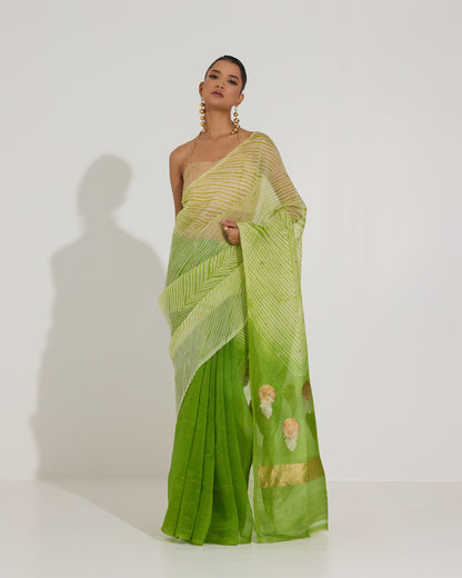 Aarshi | Japanese Dye Green Organza Banarasi Saree