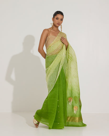 Aarshi | Japanese Dye Yellow Organza Banarasi Saree