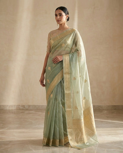 Zarf | Organza Saree