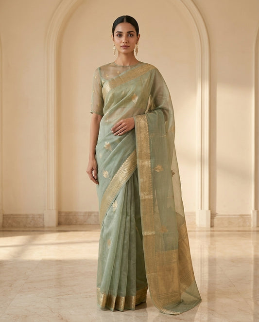 Zarf | Organza Saree