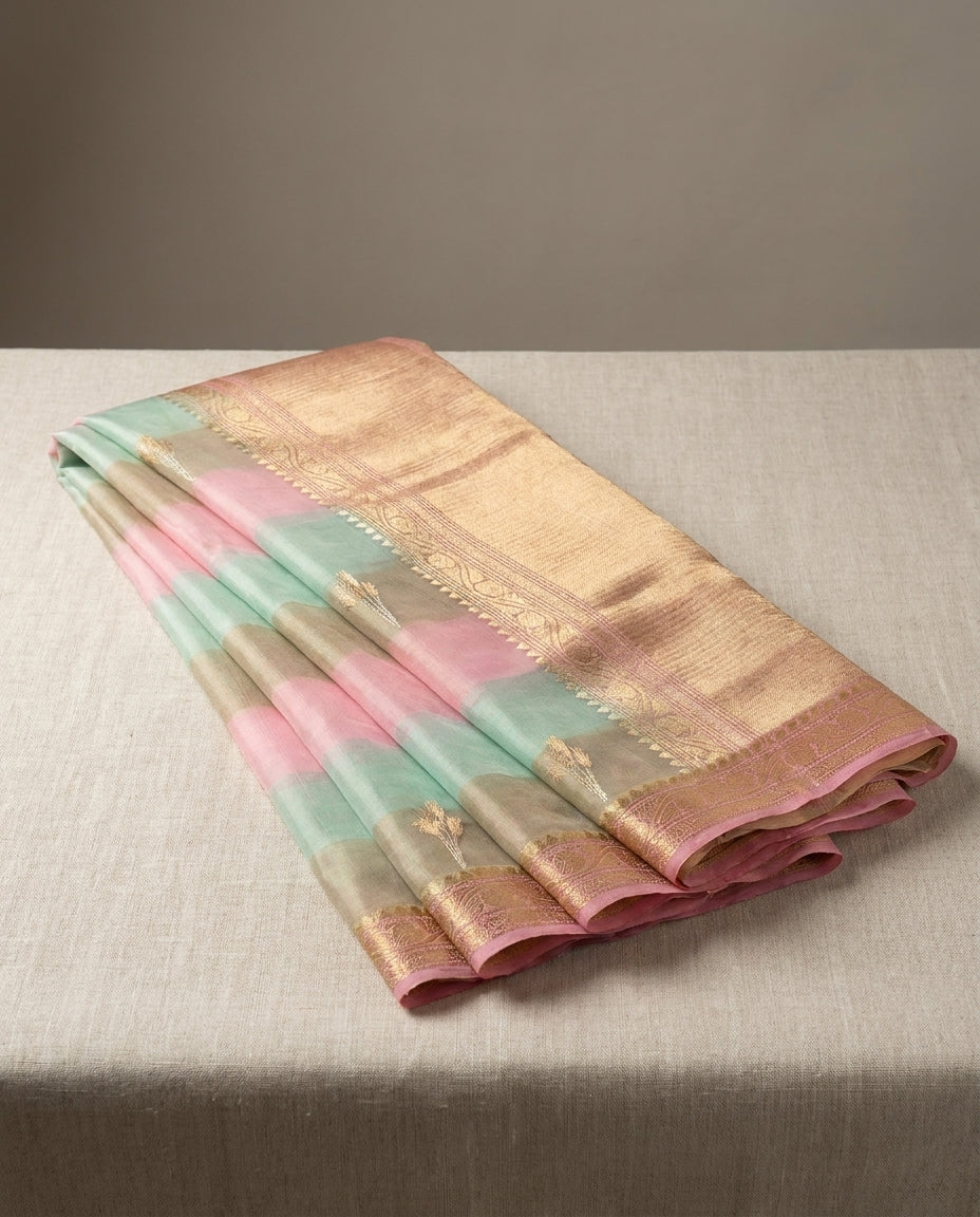 Chitraang | Organza Saree