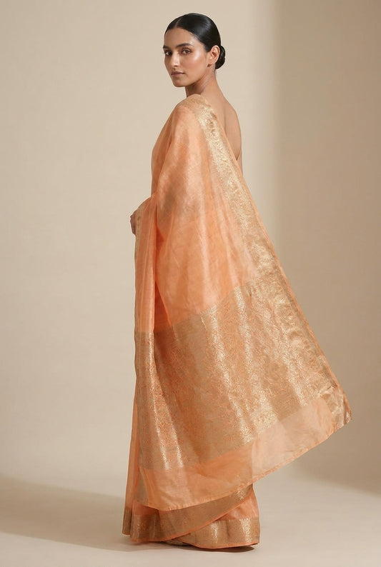 Sarn | Peach Tissue Silk Saree