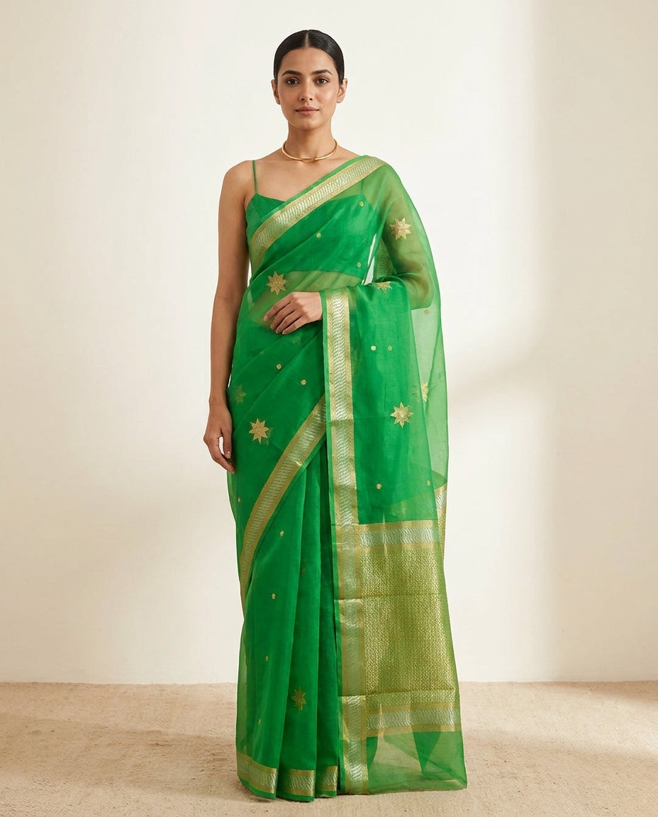 Rooh | Green Organza Saree