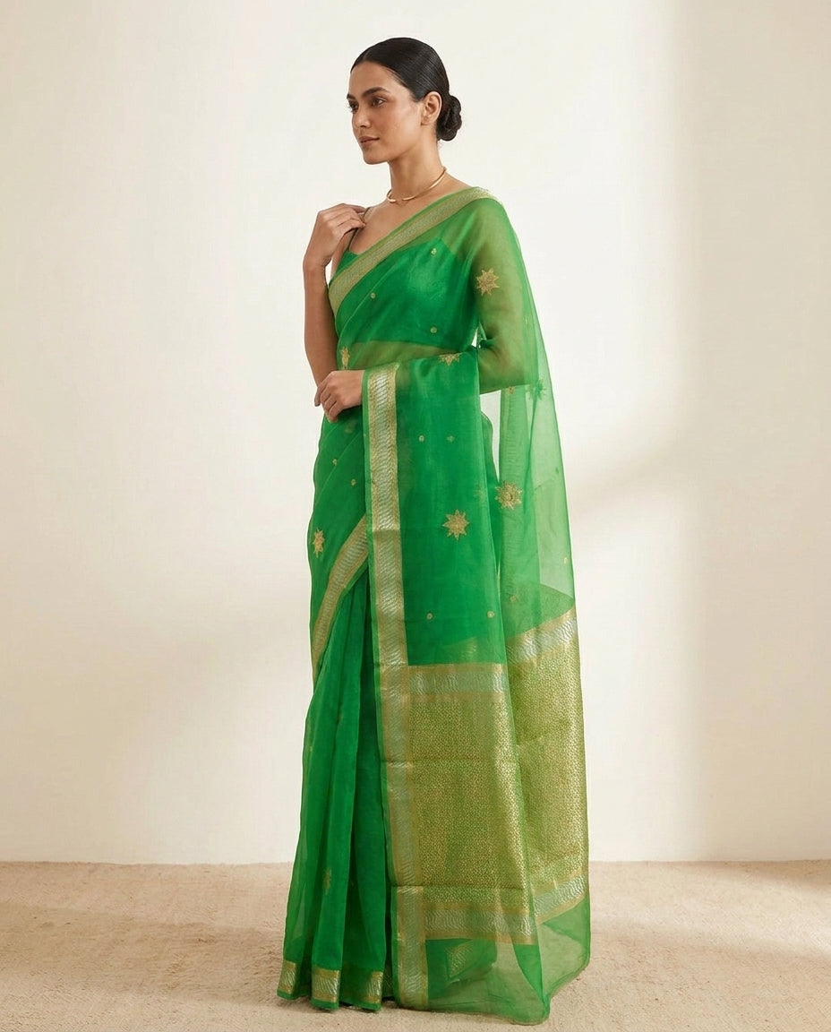 Rooh | Green Organza Saree