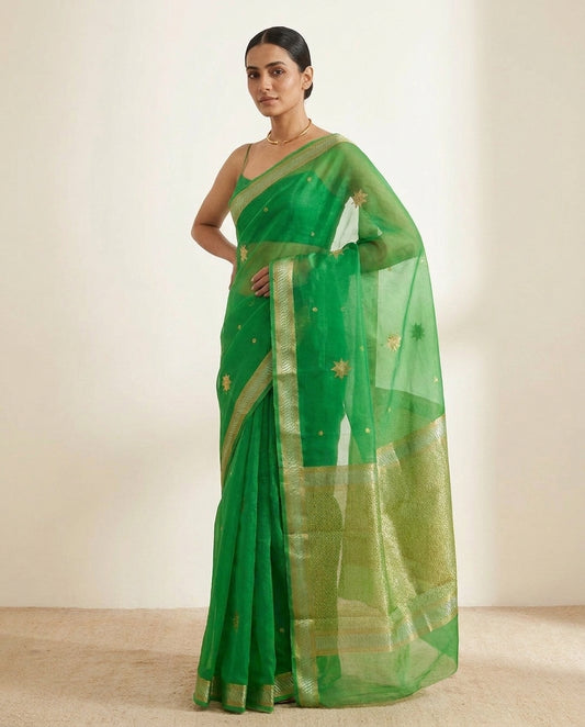Rooh | Green Organza Saree