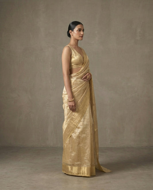 Divine Glow | Tissue Saree