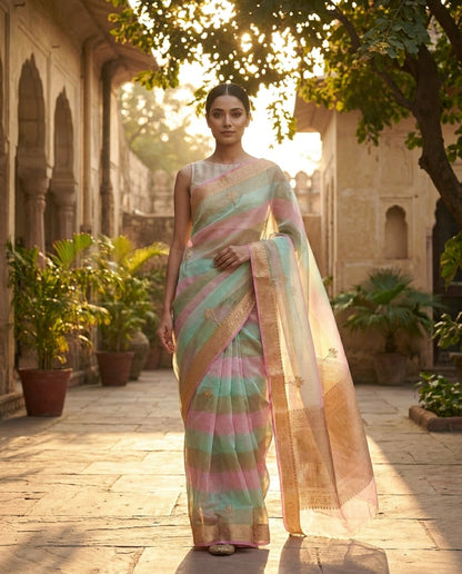Chitraang | Organza Saree