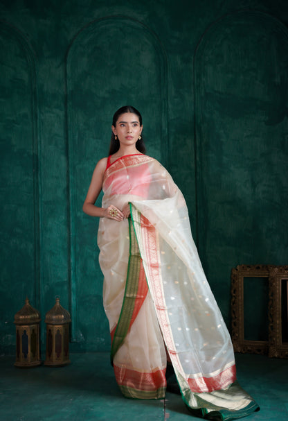 Ganga Jamuna | Organza Saree