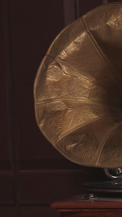 Divine Radiance | Tissue Saree